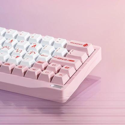 Chilkey SF60 HE Keyboard